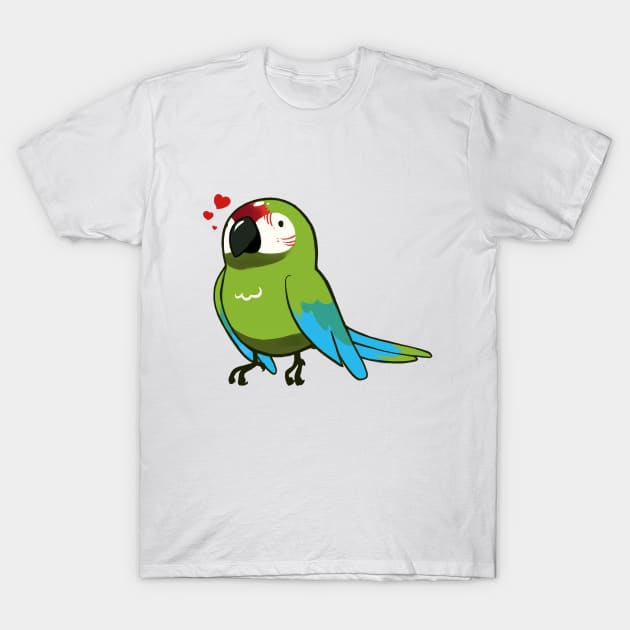 Macaw 4 T-Shirt by Shemii